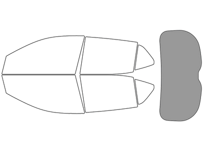 Rear Windshield - 45%