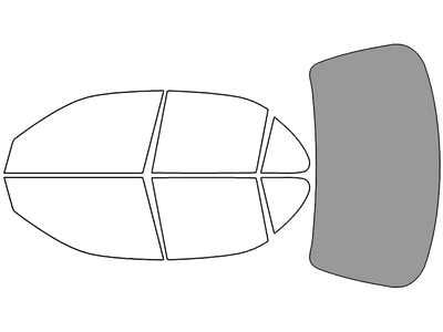 Rear Windshield - 45%