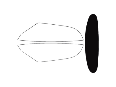 Rear Windshield - 5%