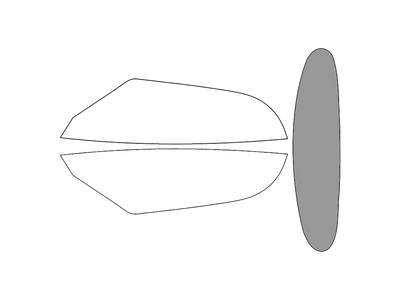 Rear Windshield - 45%