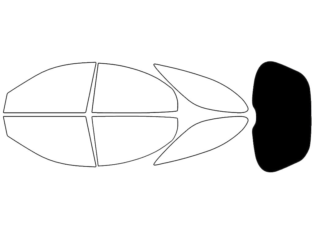 Rear Windshield - 5%