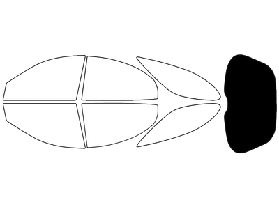 Rear Windshield - 5%