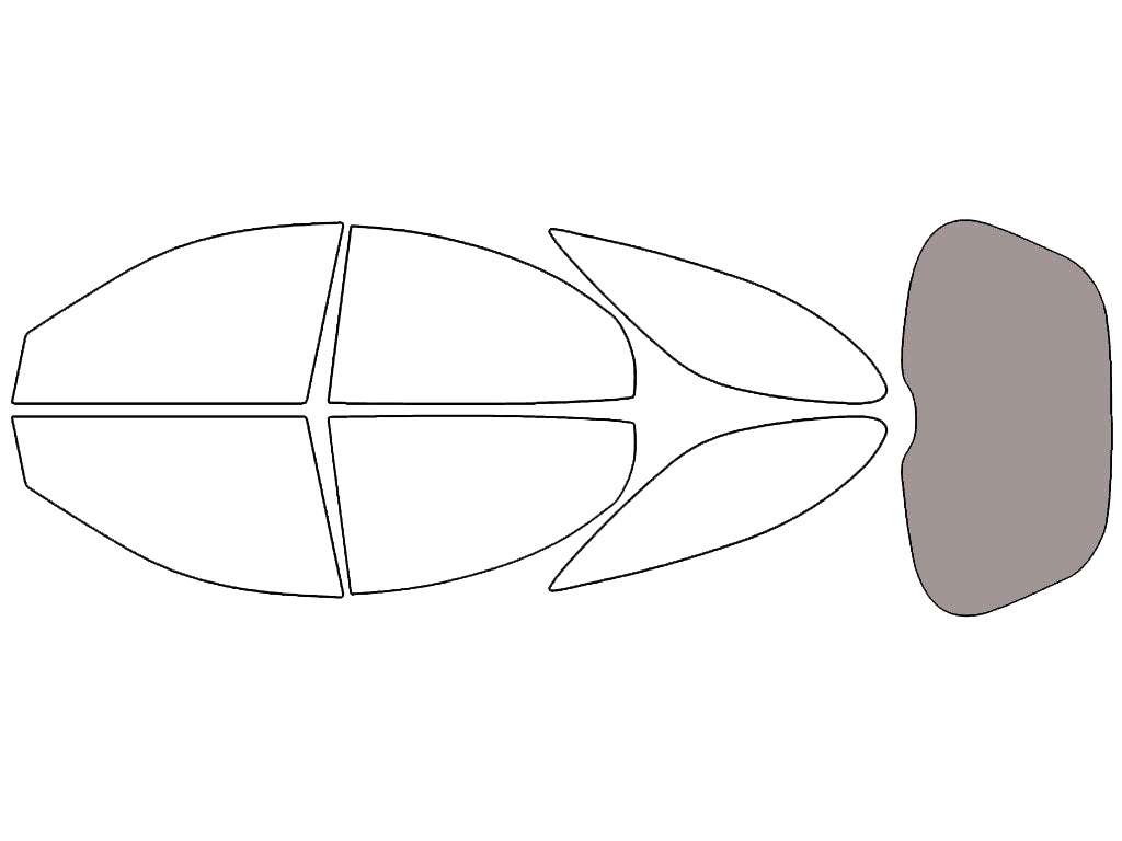 Rear Windshield - 50%