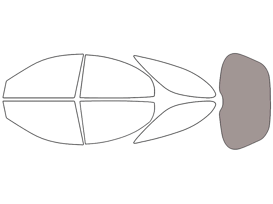 Rear Windshield - 50%