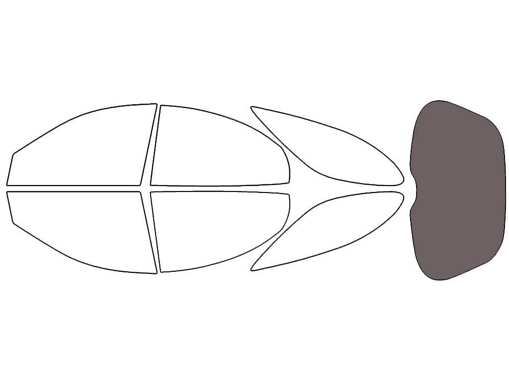 Rear Windshield - 35%