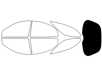 Rear Windshield - 5%