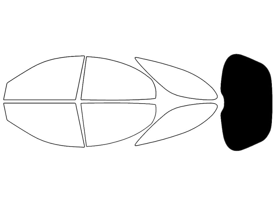 Rear Windshield - 5%