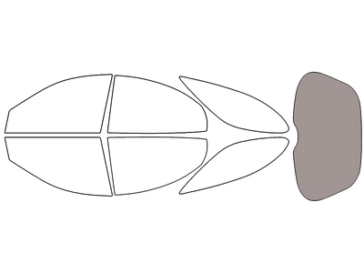 Rear Windshield - 45%
