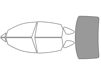 Rear Windshield - 45%