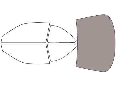 Rear Windshield - 50%
