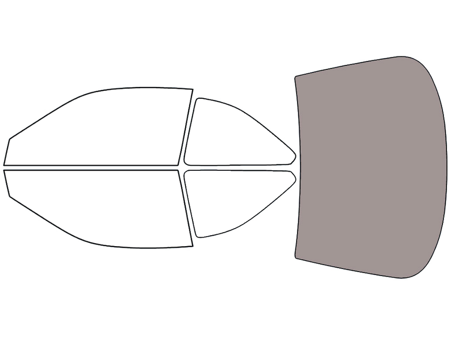 Rear Windshield - 50%