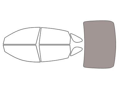 Rear Windshield - 45%