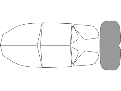Rear Windshield - 45%