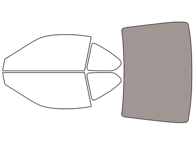 Rear Windshield - 45%