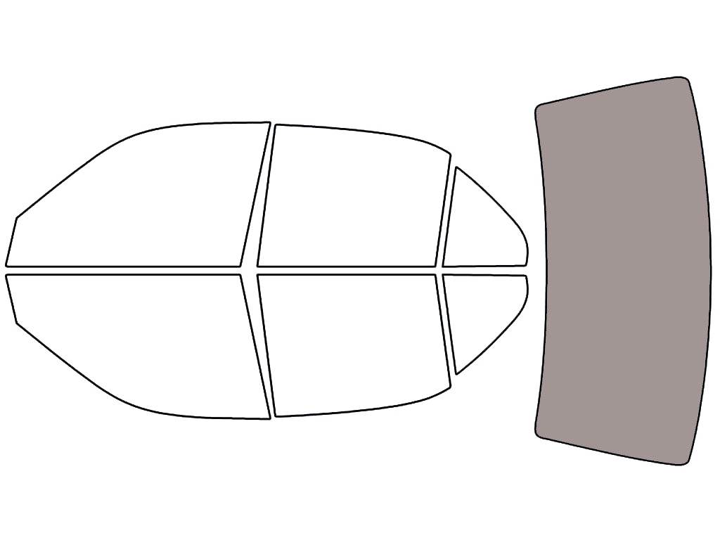 Rear Windshield - 45%