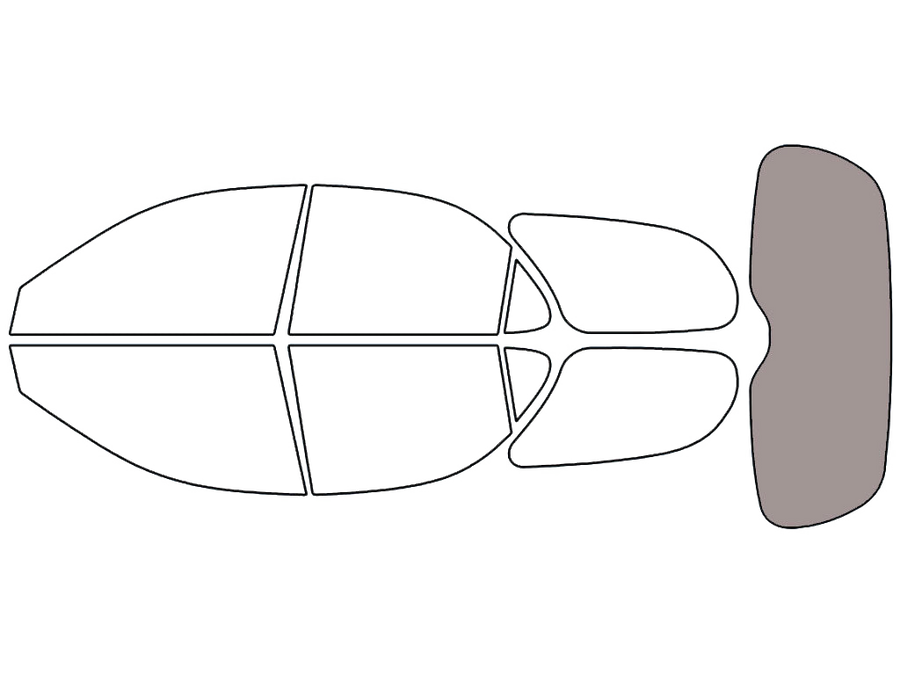 Rear Windshield - 50%