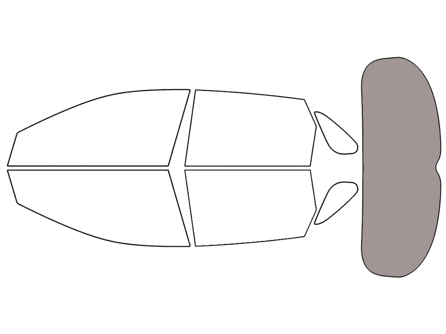 Rear Windshield - 45%