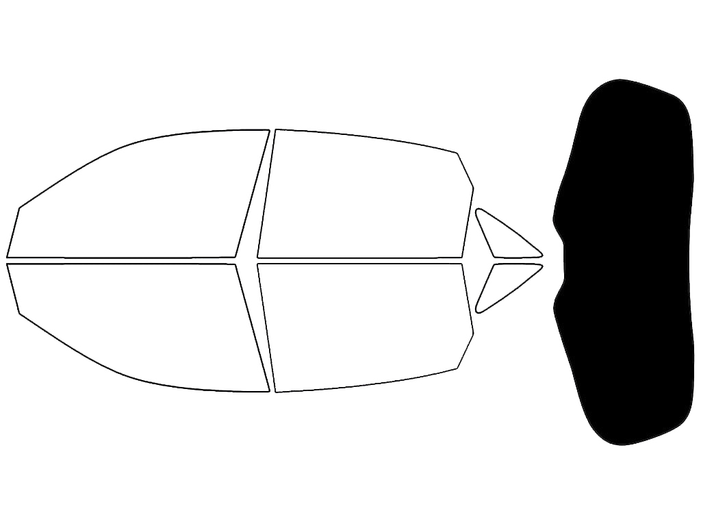 Rear Windshield - 5%