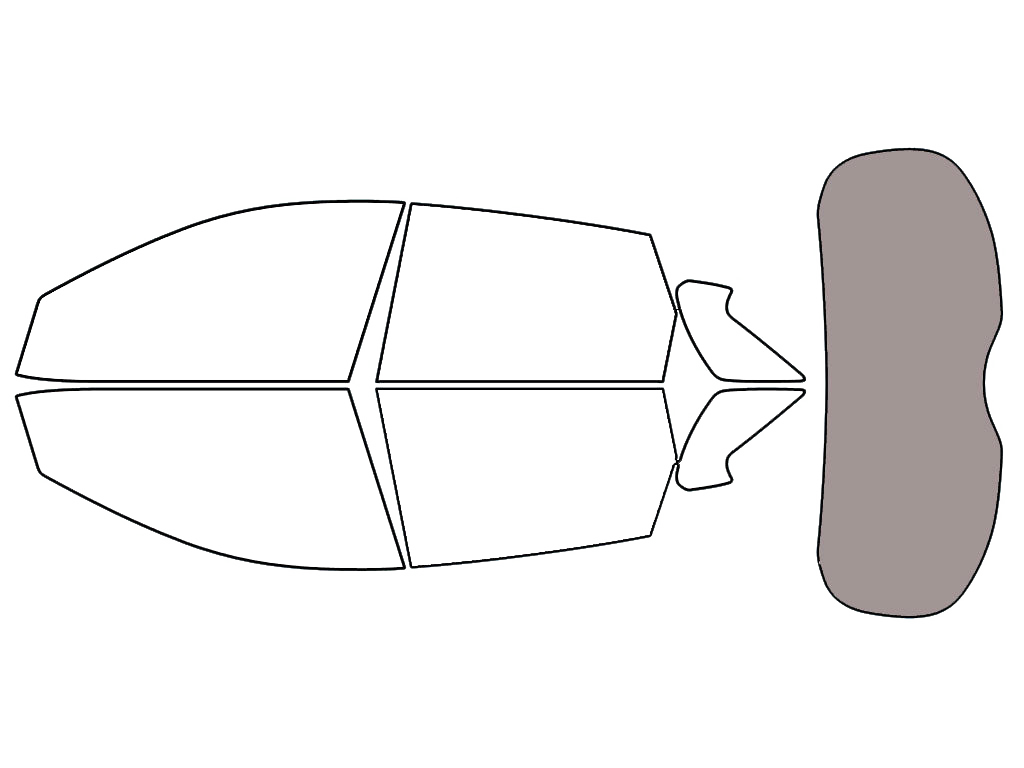 Rear Windshield - 45%