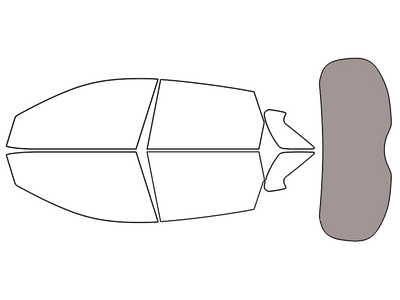 Rear Windshield - 45%