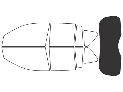 Rear Windshield - 20%