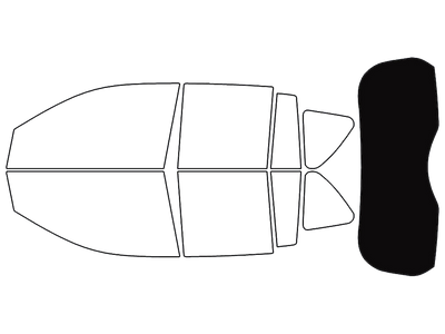 Rear Windshield - 5%