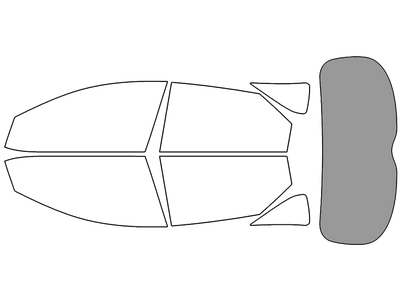 Rear Windshield - 45%