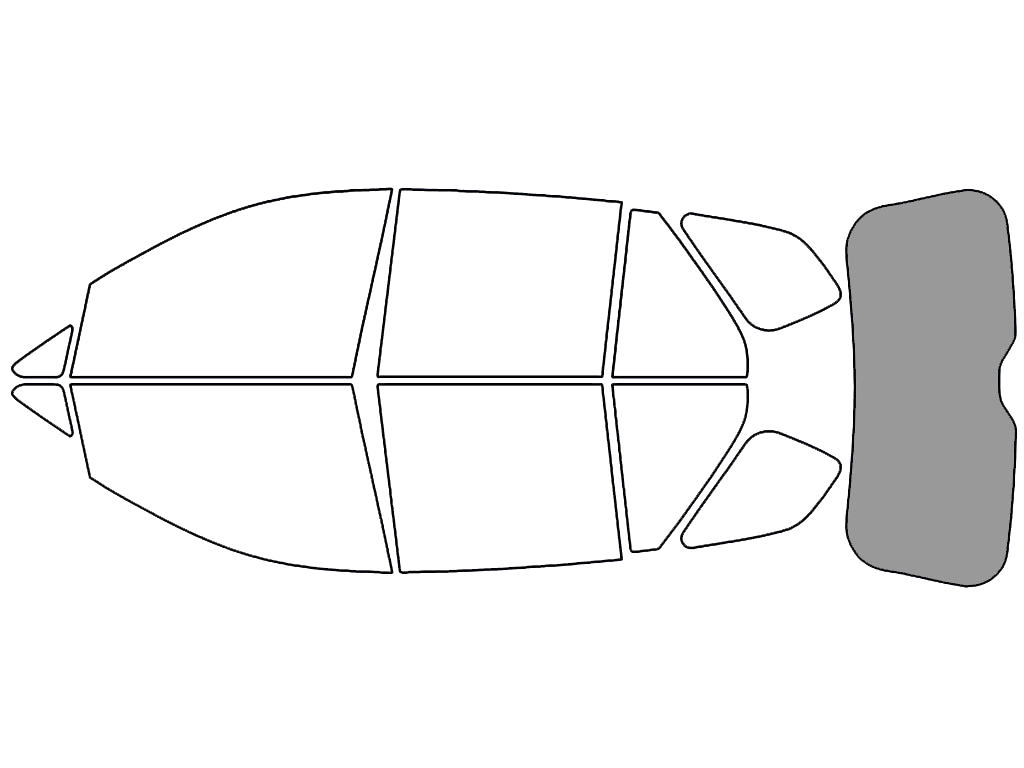 Rear Windshield - 45%