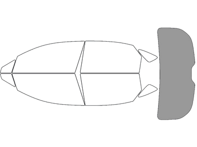 Rear Windshield - 45%