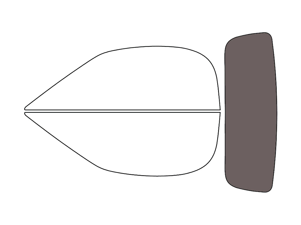 Rear Windshield - 30%