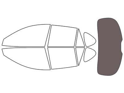 Rear Windshield - 30%
