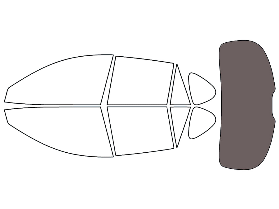Rear Windshield - 30%