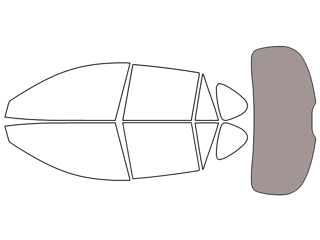 Rear Windshield - 50%