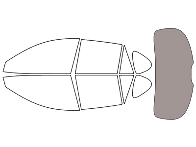 Rear Windshield - 50%