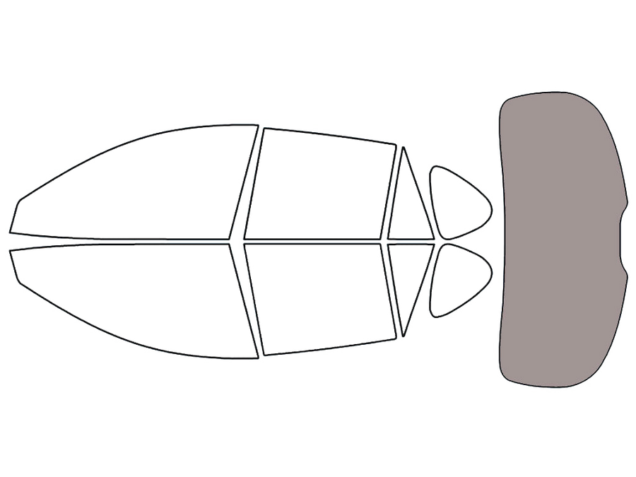 Rear Windshield - 50%