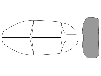 Rear Windshield - 45%