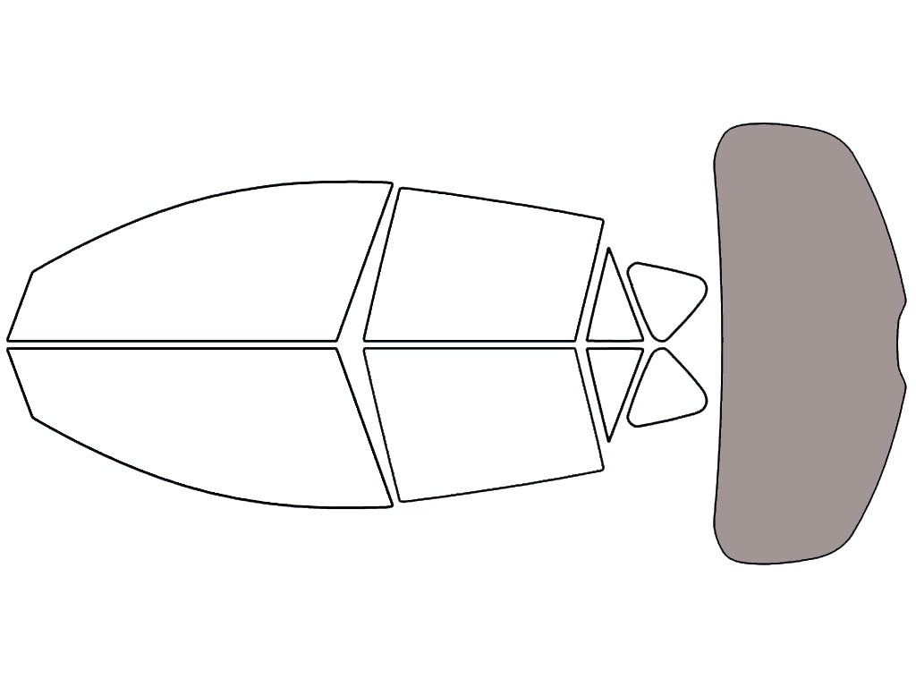 Rear Windshield - 45%