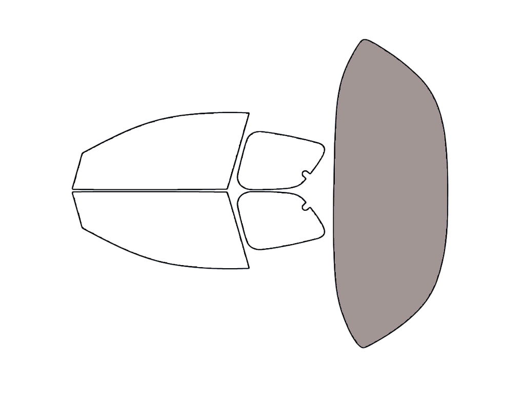Rear Windshield - 50%