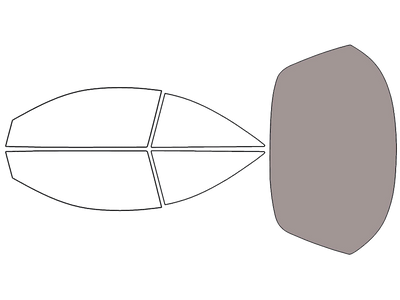 Rear Windshield - 45%