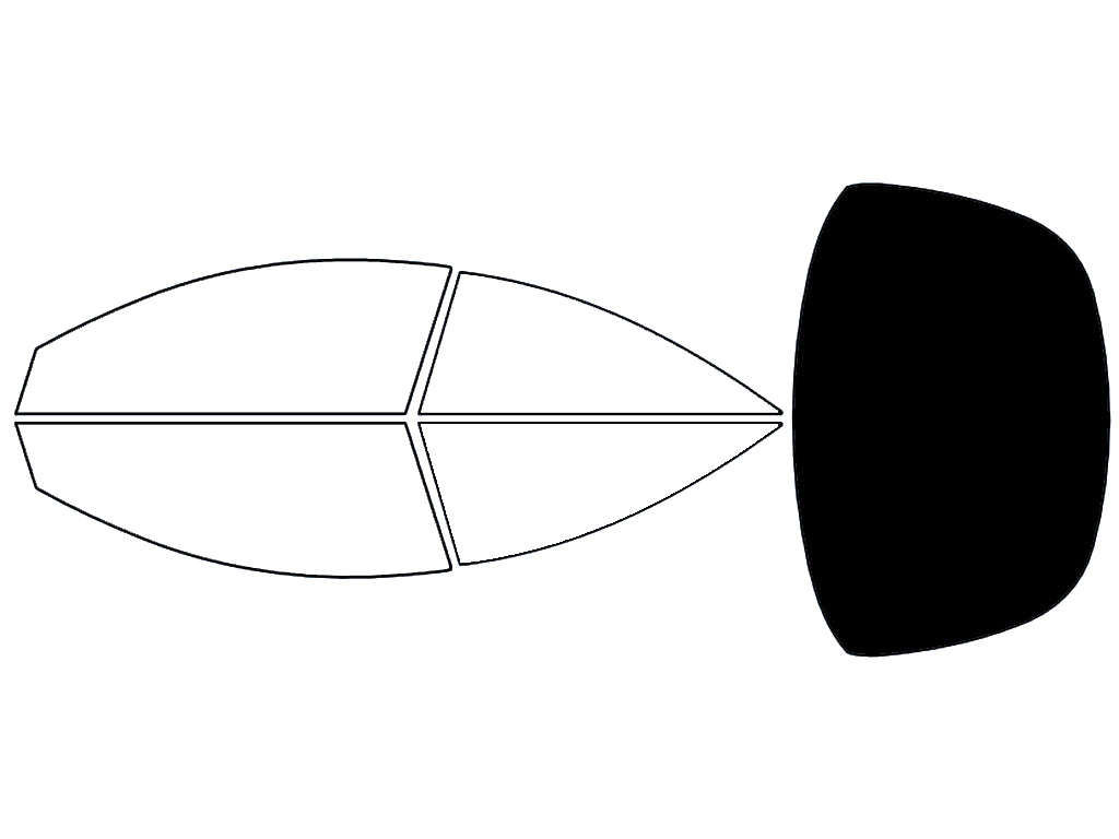 Rear Windshield - 5%