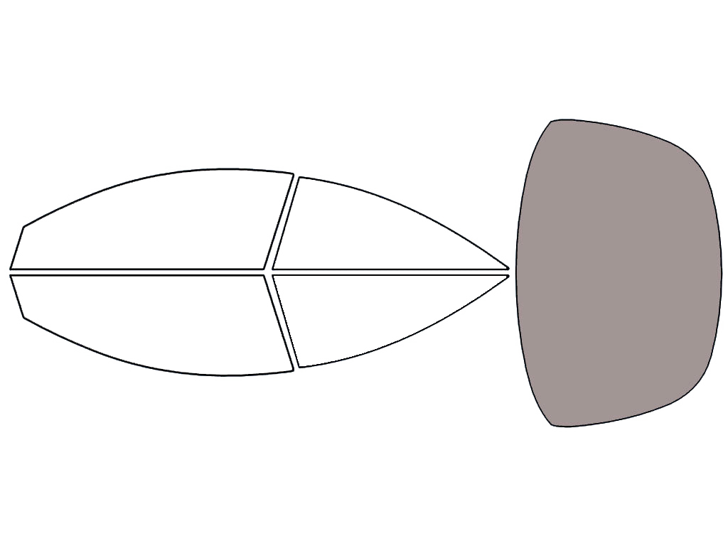 Rear Windshield - 50%