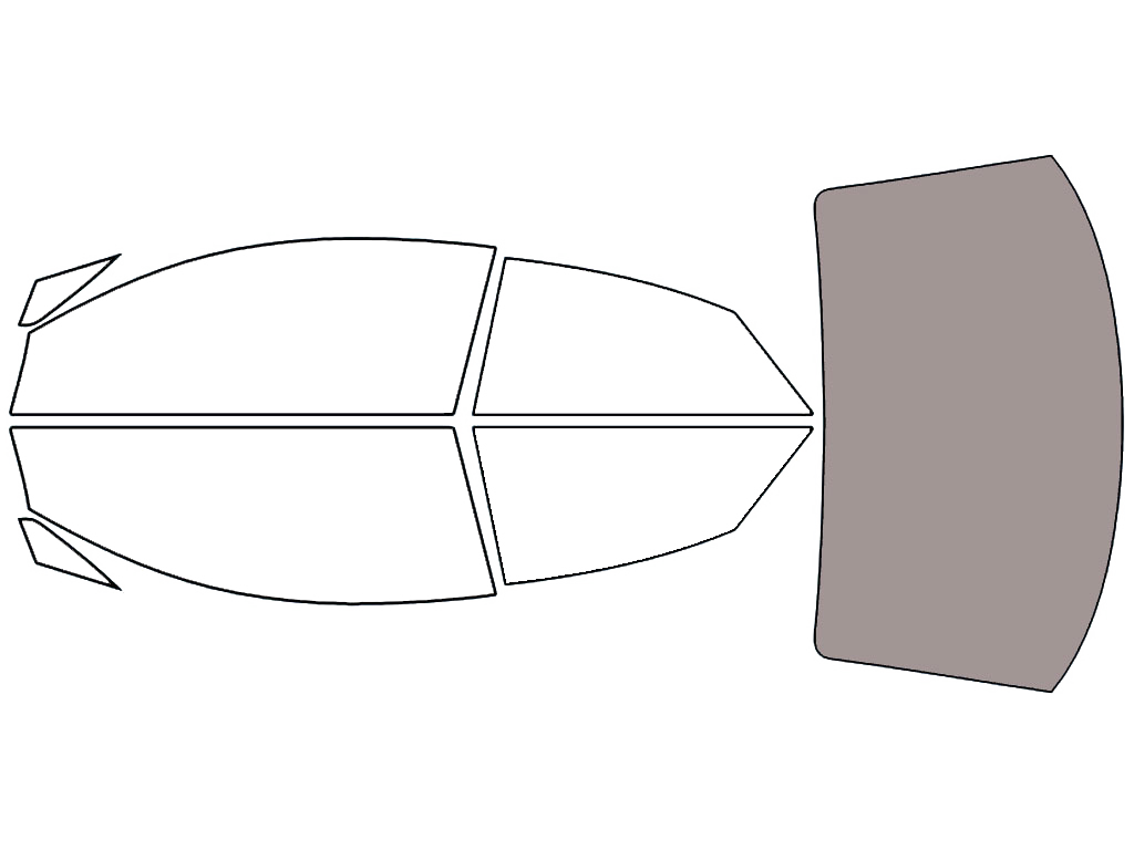 Rear Windshield - 45%