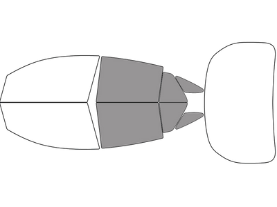 Back - 45% + Cargo