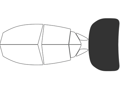 Rear Windshield - 15%