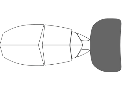Rear Windshield - 35%