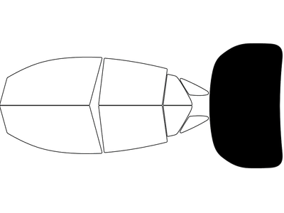 Rear Windshield - 5%