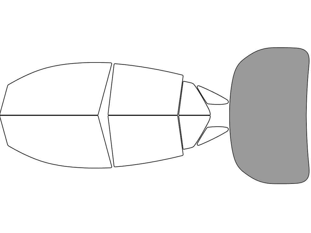 Rear Windshield - 45%