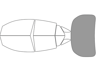 Rear Windshield - 45%