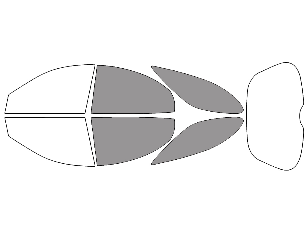 Back - 50% + Cargo