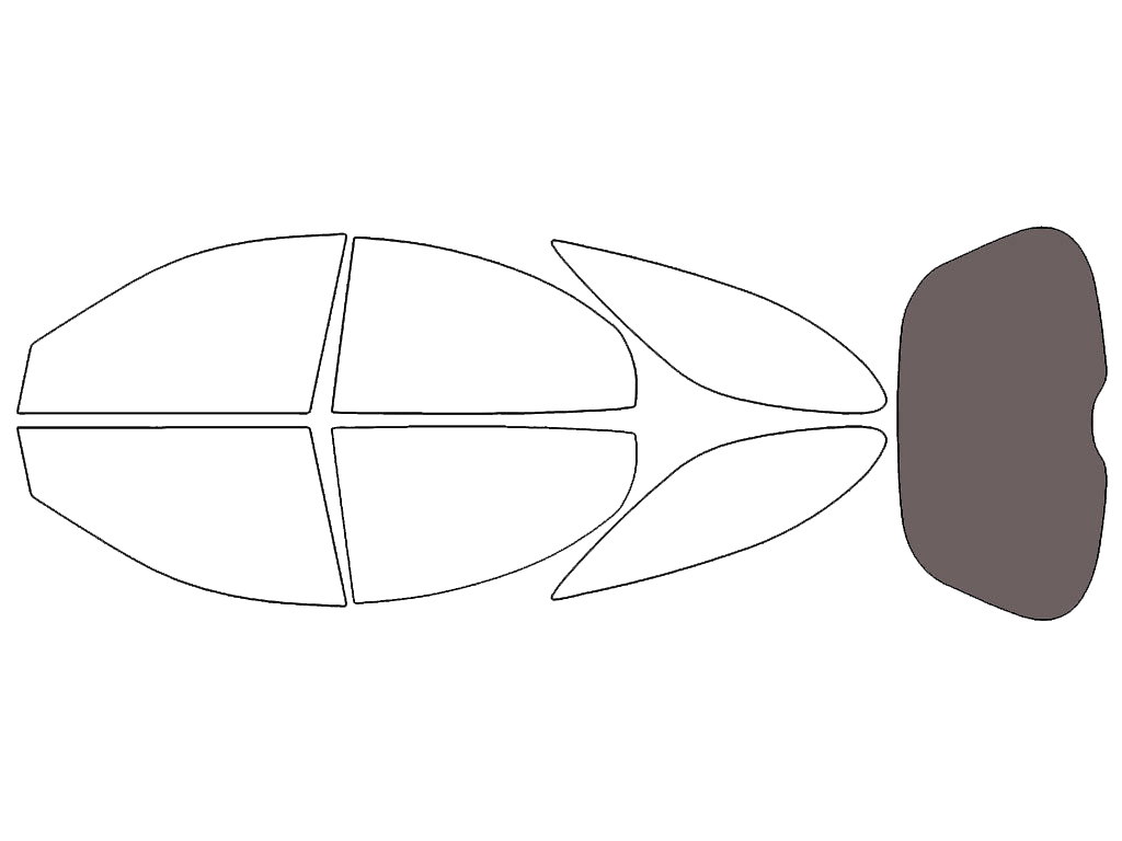 Rear Windshield - 30%